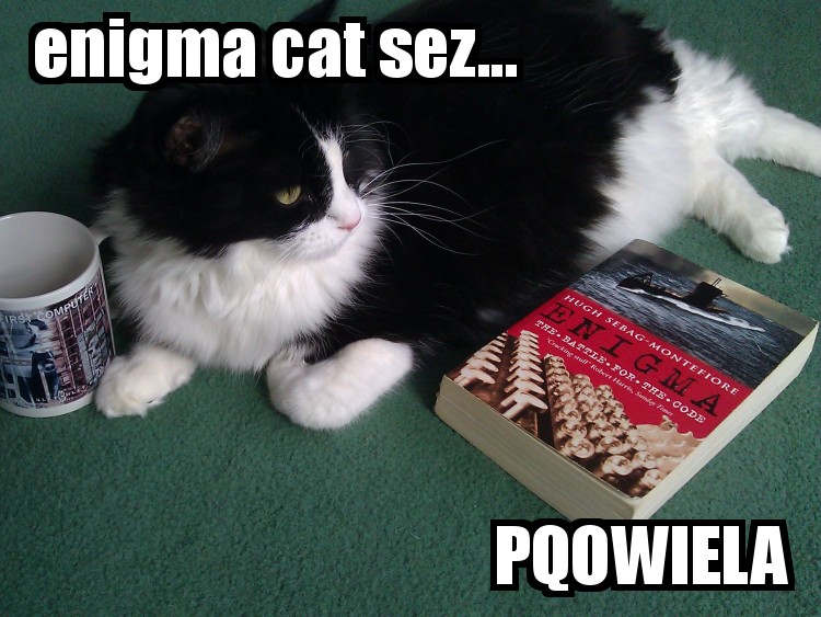 enigma_cat_says_PQOWIELA